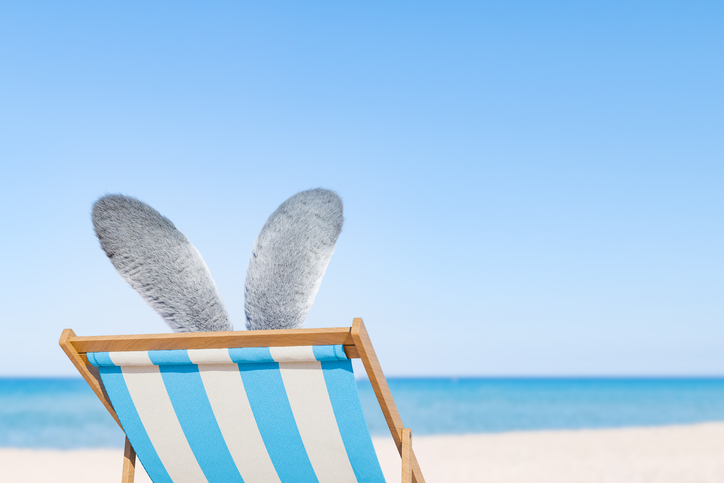Get Your Hospitality Business Easter-Ready with Professional Exterior Cleaning in Somerset